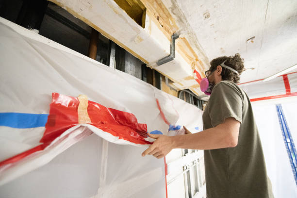 Best Basement Mold Removal  in Fairbury, NE