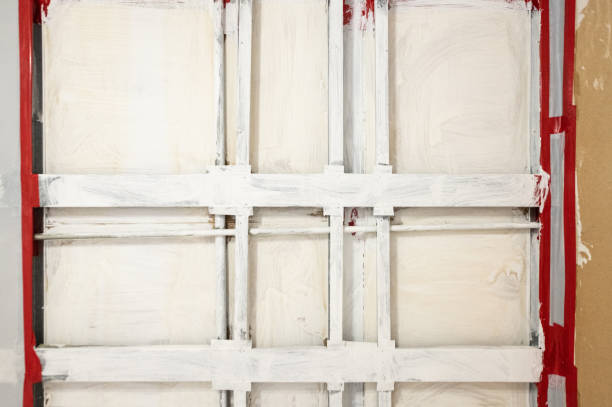 Best Mold Removal for HVAC Installations  in Fairbury, NE
