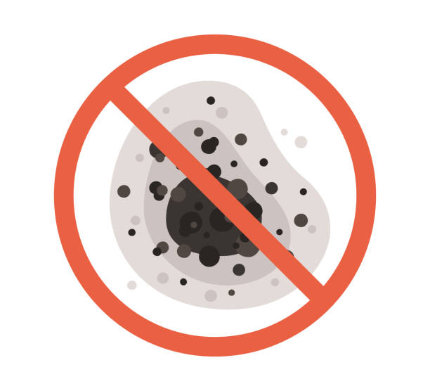 Best Mold Odor Removal Services  in Fairbury, NE