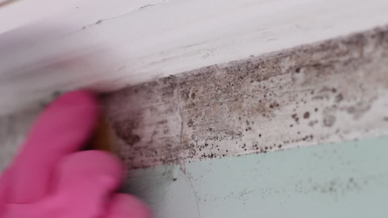 Best Post-Remediation Verification Testing  in Fairbury, NE